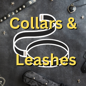  Collars & Leashes